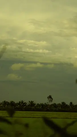 Chiều quê #canhqueyenbinh #xh #oque #mientay 