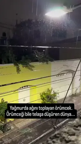 #dünya 