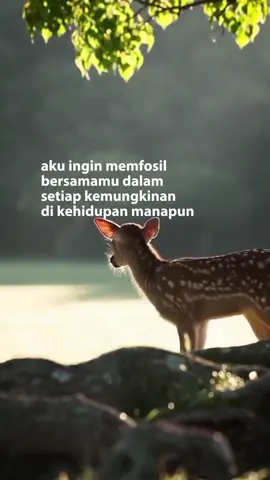 by Muzek, #fyp #foryoupage #katakata 