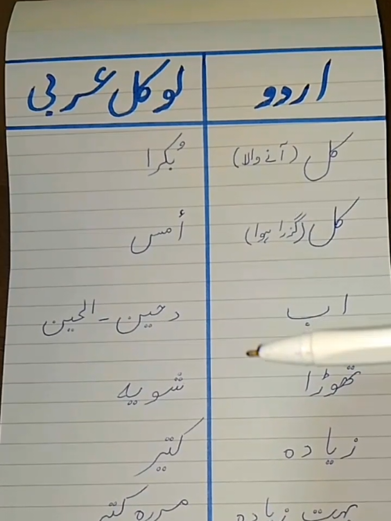 #اردو #لوکل عربی#foryou  #tik_tok #foryoupagе 