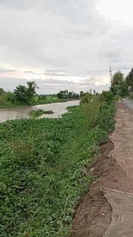 #💥💫Canhđepquehuongtoi #💥💫 