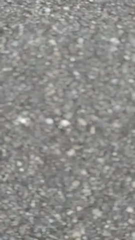 peredam merah dan si cantik  #rxking #rxkingperedam #rxkingindonesia #rxkingnusantara #cintainiuntukmu 