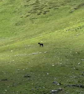 #corecore #nichecore #film 