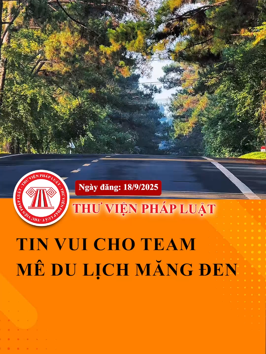 Tin vui cho team mê du lịch Măng Đen vì dự kiến sẽ có sân bay tại đây #ThuVienPhapLuat #LearnOnTikTok #Hoccungtiktok #TVPL