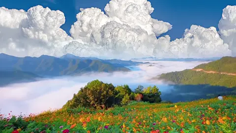 Khung cảnh như tranh vẽ🖼️⛰️#xh #canhdepthiennhien #xinmotlanxuhuong 