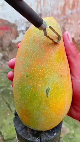 (1 minute) Amazing fruits 😱  #satisfyingvideos #relaxing #asmrfood #fruits #watermelon 