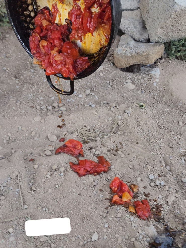 #جواد_المغامر  سوينه كل وناسين الخبز🥲