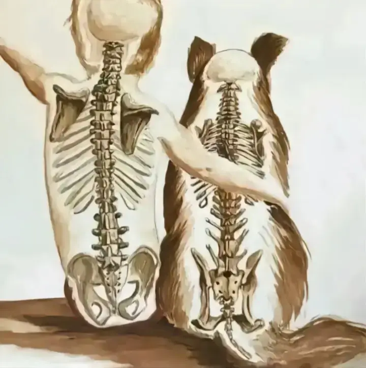 #الكلب_الوفي😂😂👏👏👏  #الشعب_الصيني_ماله_حل😂😂  #fypシ  #الشيخ_بدر_المشارى #الانبار_شموخ_عزالانبار 