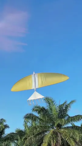 🤩 #masukberanda #layangan #tunanglayang #layangaceh #fyp 