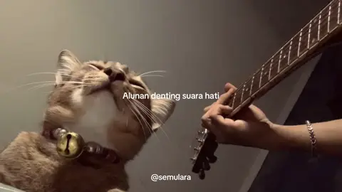 Tuhan, kembalikan. #diujungjalan #samsons 