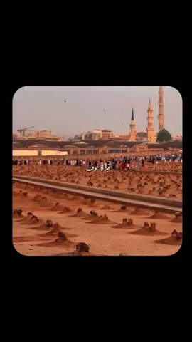 Last Friday Of Rabiyul Noor shareef 🥹🥀❤️‍🩹 . . . . . #fyppppppppppppppppppppppp #foryou #viral #goviral #fypviral 