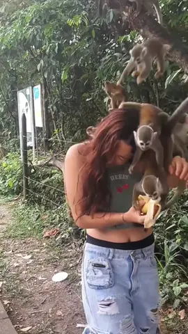 Crazy monkey 🙊 #monkey #monkeys #funny #foryou #fypシ 