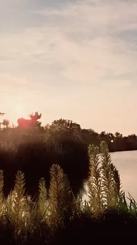 #mybeautifulmemory #raselhits #loveforever 