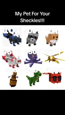 pet for sheckless!! #gag  #growagarden #trade #fyp 