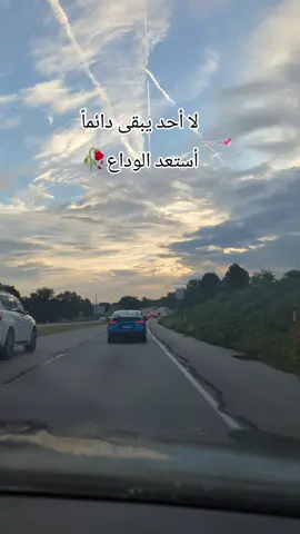 #فؤاد_سالم #عليمن_يا_قلب_تعتب_عليمن #iraqi_songs #messo2016 #طرب_عراقي_اصيل 