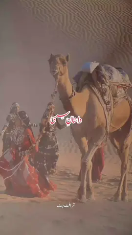 Allah ditta lonywala ♥️ #allahdittalonywala #dita_lony_wla #اللہ_دتہ_لونےوالا #folksong #punjabivoice 