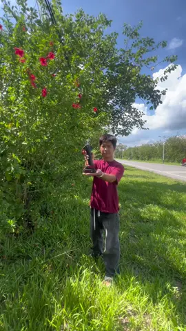 You need a pair of electric shears to trim the extra branches in your yard #ElectricScissors #treepruning #tools #tiktokshop #fyp: #tiktokmademebuyit #tiktokshopping #tiktokshopfinds #MomsofTikTok #SummerSale #Multi-function branch shears #Pruning