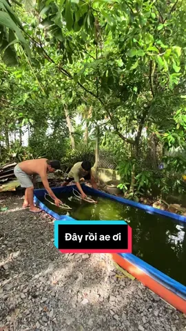 Đây rồi ae ơi , siêu phẩm về team@khang lũi 🗿 💪🏻💪🏻💪🏻@MToanDepTrai @ngọc.sét⚡⚡ @Trang phát🛶🚣 @HLN...! @chuonq Lus