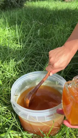 🌸 Daily Wellness Secret: Qinling Wild Bee Honey 🌸 #honey#WildHoney #RawHoney #organichoney 