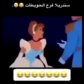 #حقل #اكسبلور #تبوك #ترند_الاكسبلور #تبوك_الان 