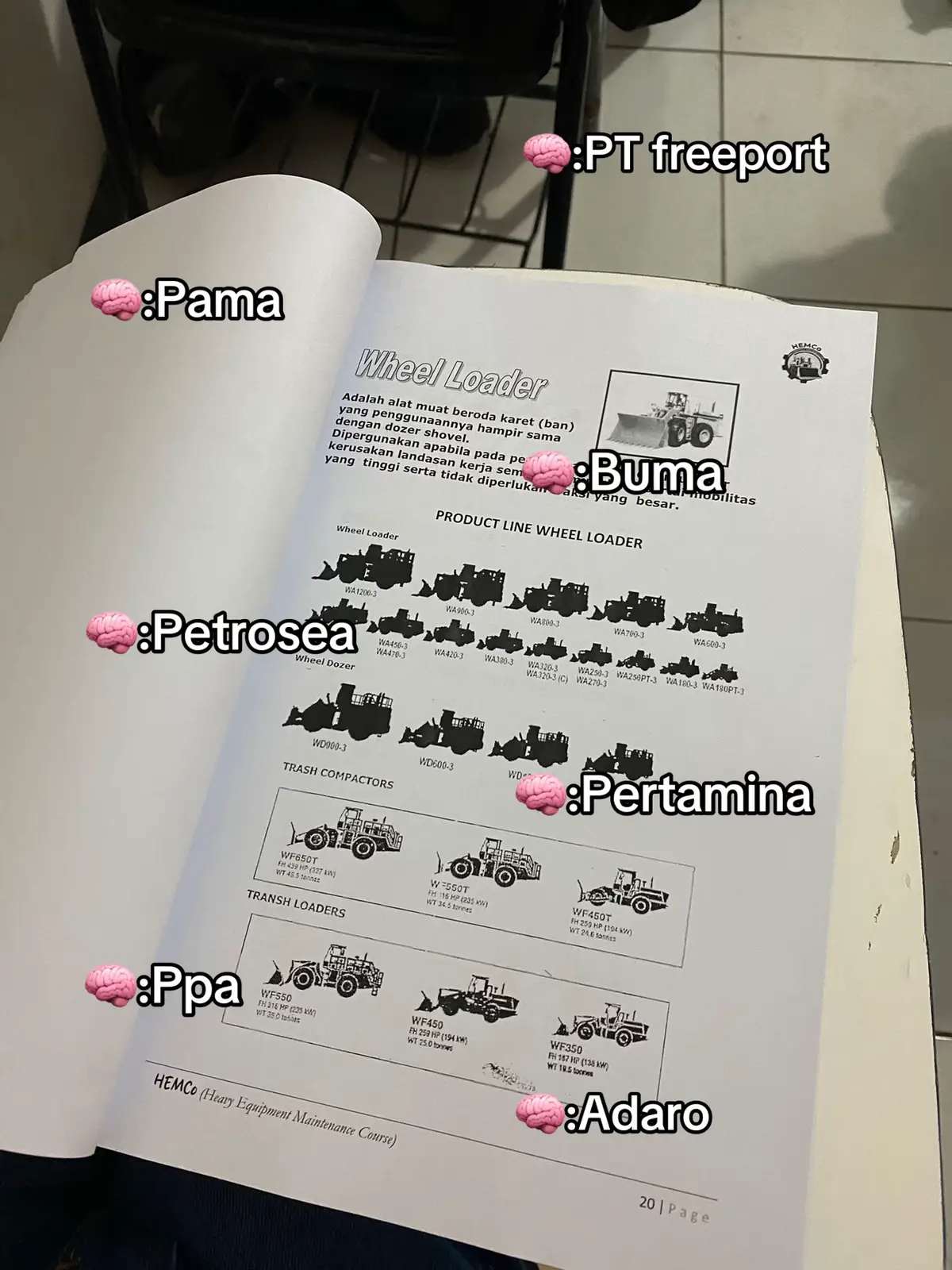 #fyp #kulitambang #batubara #tambangbatubara #mekanik 