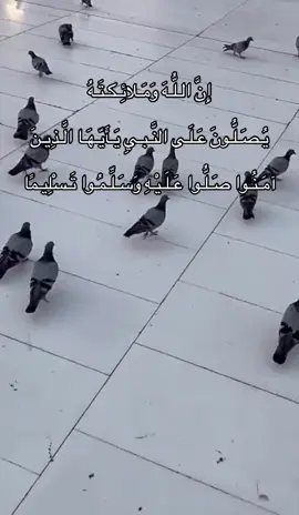 #الشيخ_ماهر_المعيقلي #اكسبلوررر #لايكات #سبحان_الله_وبحمده_سبحان_الله_العظيم #الدال_على_الخير_كفاعله #اللهم_صلي_على_نبينا_محمد #اذكروا_الله #لايك_متابعه_اكسبلور #fyp #foryoupage #fypシ#fyppppppppppppppppppppppp #tiktok #hi_tiktok #🤍🤍 ##الشعب_الصيني_ماله_حل#السعودية #