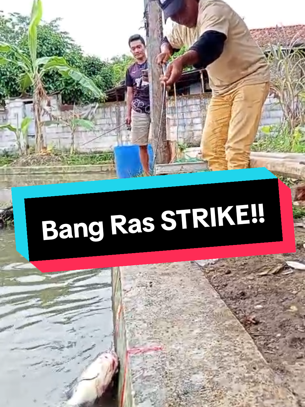 Mbah Ras, Strike 4kg up!!! #fyp #foryoupage #foryou #mancing #tirtalegok 