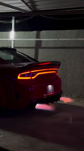 #تكريت_صلاح_الدين_الزهور #تعليقاتكم #لايك_متابعه_اكسبلور #العراق_السعوديه_الاردن_الخليج #دوج_تشارجر @طلال 🇮🇶 