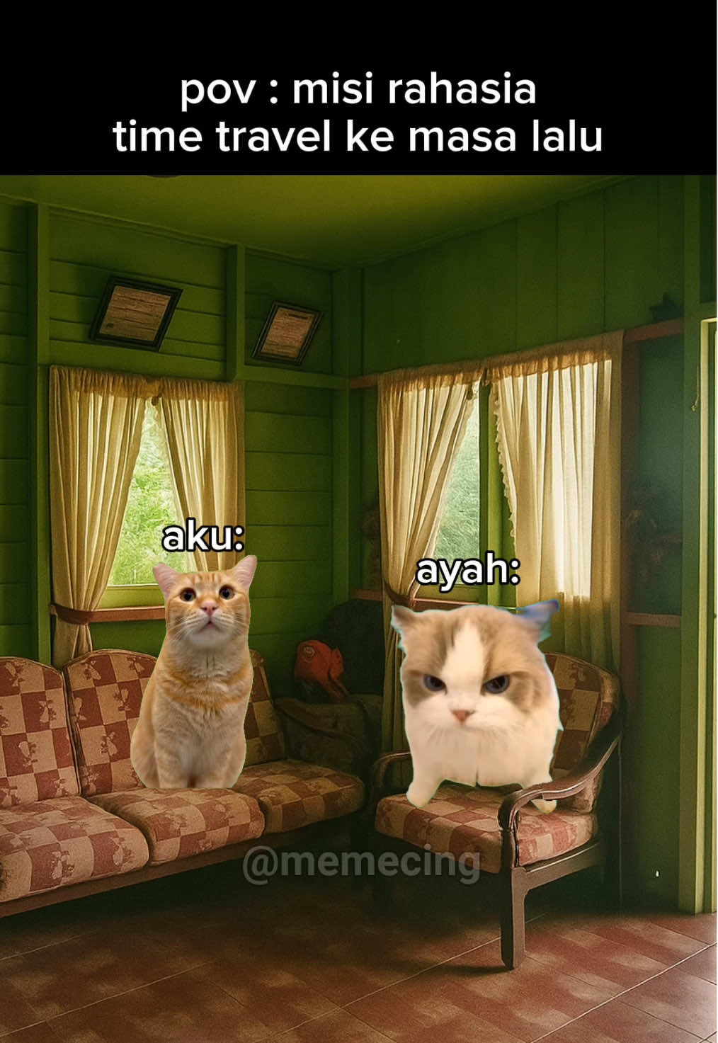 misi sukses😜 #meme #memekucing #kucinglucu #catmeme #fyp 