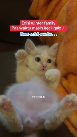 Lucu banget si adek waktu kecil 😭✨ #kucingtiktok #foryoupage #fyp #kucinggemoy #kucingpintar 