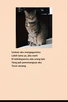 #katakatasedih #katakatabijak #fyp #viral #laguindia 