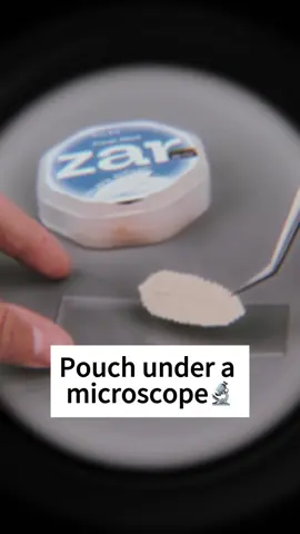 Just a curious look #Science #pouch #zar #airpoich #snus 