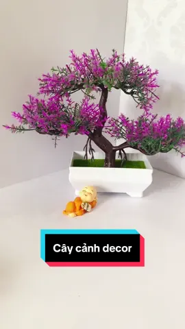 Cây xinh #tiepthilienket #viral?videotiktok😇😇 #thịnhhành #xuhuongtiktok @Hứa Thị Trang 