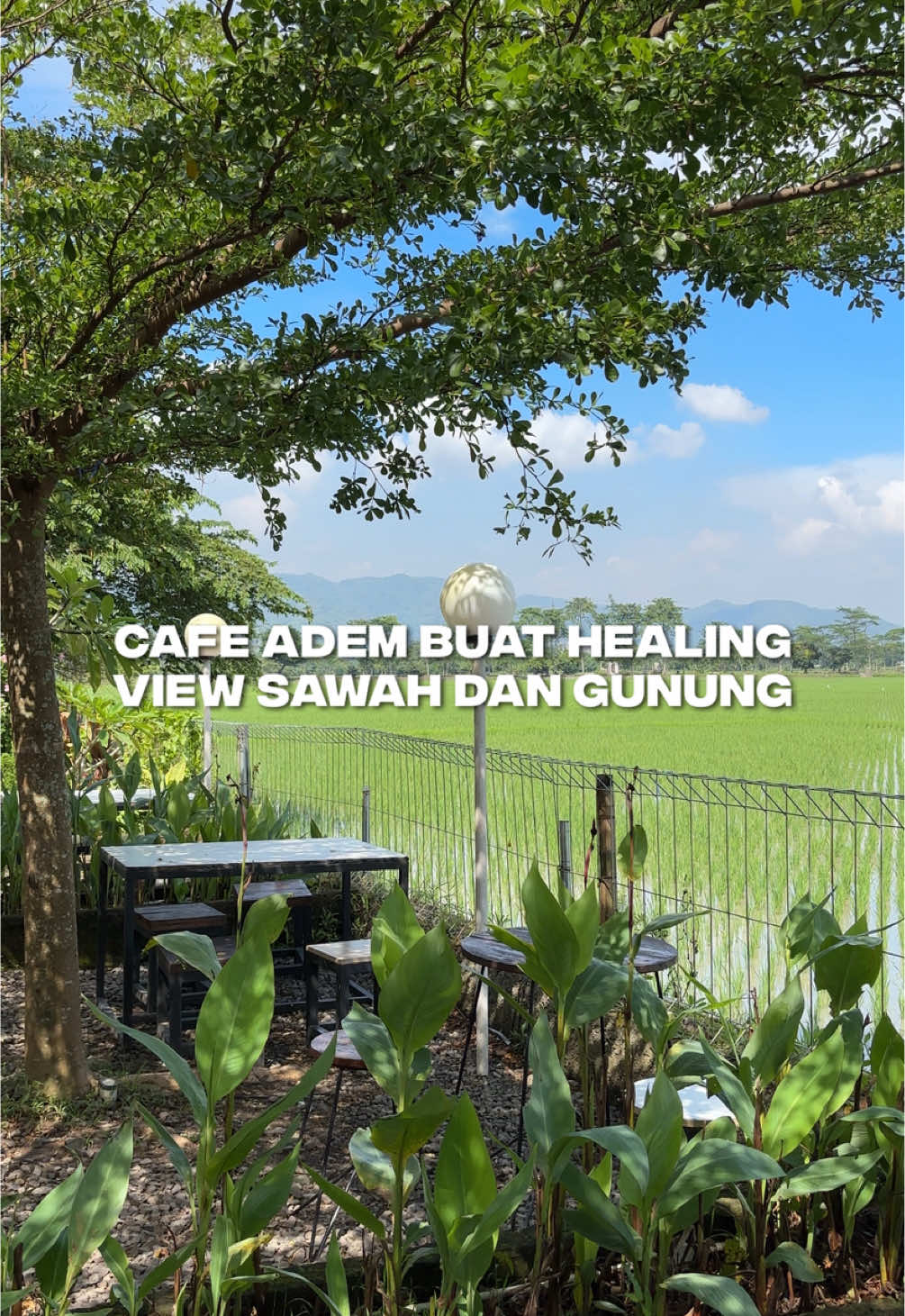 Cafe adem di Bandung yang view-nya hamparan sawah luas dan gunung yang bikin mata adem dan sejuk ✨ enak banget buat chill pagi-pagi atau sore, cocok banget dijadiin spot healing kalo kamu lagi penat. #coffee shop adem bandung #cafebandunghits #placetogobandung #visitbandung #lalanaspace 