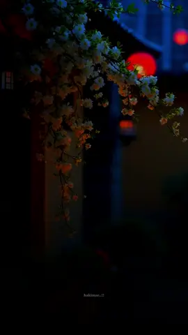 like saar wll copy link 5mar ii tabo #somalitiktok #foryoupage #viral🙏 #viewsproblem😭😭😭 