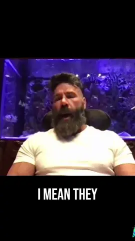 #danbilzerian #parti #sneakoclips #sneako #charliekirk  Sneako interview dan Bilzerian  They Kill, They Brag_ Will They be Silence