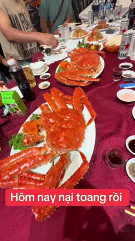 #caucagiaitri🦈🦈🦈 #hocau81 #