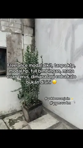 #fyp #fyppppppppppppppppppppppp #fypage #frelace #freelance #bisnisrumahanhasiljutaan #bisnisonline #bisnisrumhn #frelanceupwork #bisnisviral #bisnismodalkecil #bisnisanakmuda #perintisbukanpewaris #frelance #frelancer #bisnishalal #pyp 