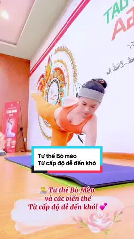 💁 Tư thế Bò Mèo Yoga và biến thể từ cấp độ dễ đến khó! 👉 Thử ngay nào mọi người ơi…  #yoga #duocsidammeyoga #yogapose #tuthebomeoyoga #tutheyoganangcao 
