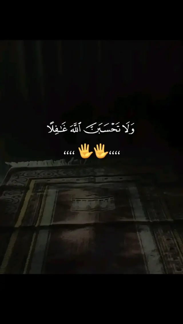 #تلاوة_خاشعة 