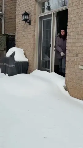 This sound is really relaxing #oddlysatisfying #sayisfying #frozen #ice #asmr 