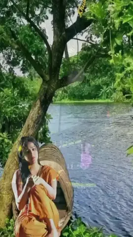 #পাখি #পাখিbd #পাখি @tiktok .com/@kadija 