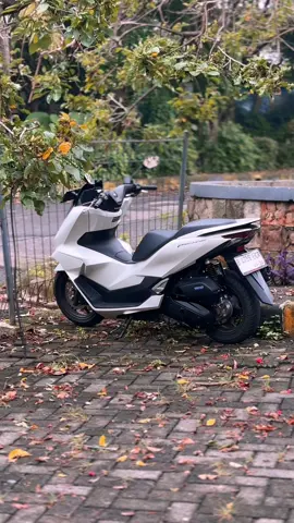 Demenya mojok #pcxmodifikasi #pcx2025 #pcx160ล้อ17แต่งสวย #pcx160 