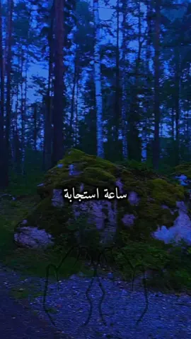ساعة الاستجابة ردد معي ثلاث مرات هذا الدعاء ربي اني مغلوب فانتصر #اكتب_شي_توجر_عليه #يارب❤️ #اكسبلور #explore #fyp 