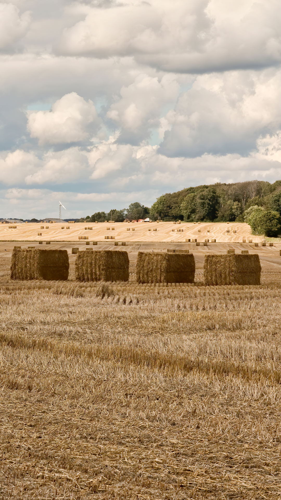 Looking to expand networks and unlock new opportunities in agriculture? Explore how growers and industry leaders connect, share ideas, and build growth together. Listen now on all major platforms to the episode Understanding Forage Systems on The Crop Science Podcast Show! #wisenetix