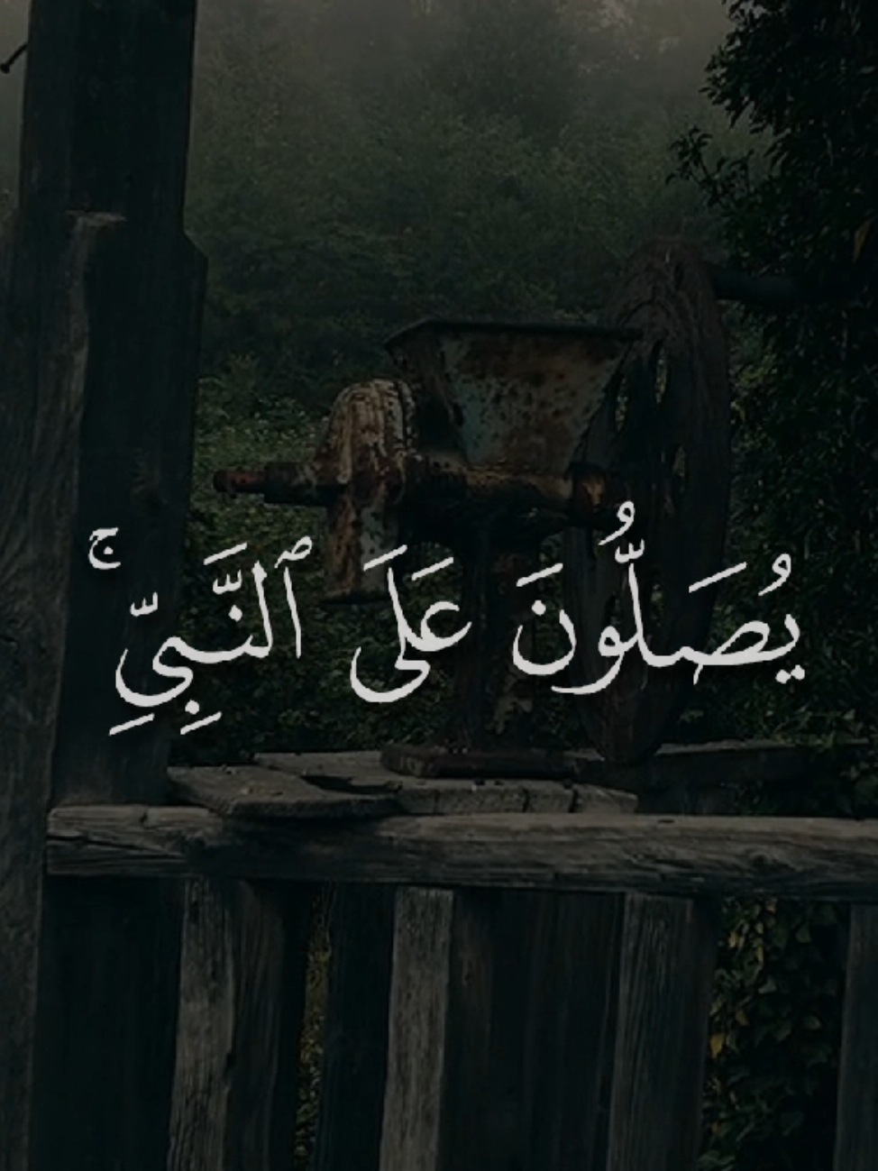 ﴿ إِنَّ اللَّهَ وَمَلَائِكَتَهُ يُصَلُّونَ عَلَى النَّبِيِّ ۚ يَا أَيُّهَا الَّذِينَ آمَنُوا صَلُّوا عَلَيْهِ وَسَلِّمُوا تَسْلِيمًا ﴾  محمد ايوب #قران #quran #قران_كريم #علي_جابر #foryou 