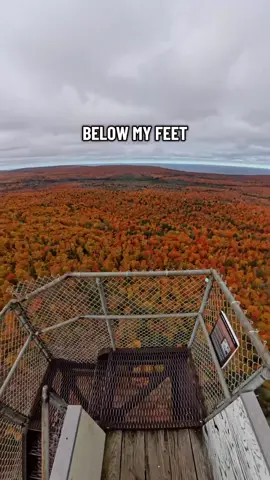 I’m ready for fall color in the U.P.  #fallcolor #upperpeninsulamichigan #copperpeakskijump 