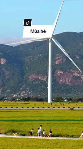 Hoá ra mùa hè của năm 2019 đã là 6 năm về trước #tuanthichbay #kiuctuoitho #quehuong 