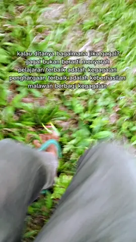 #sobatngaret #peternak #sobatangonsumatra #sobatngaretnusantara #