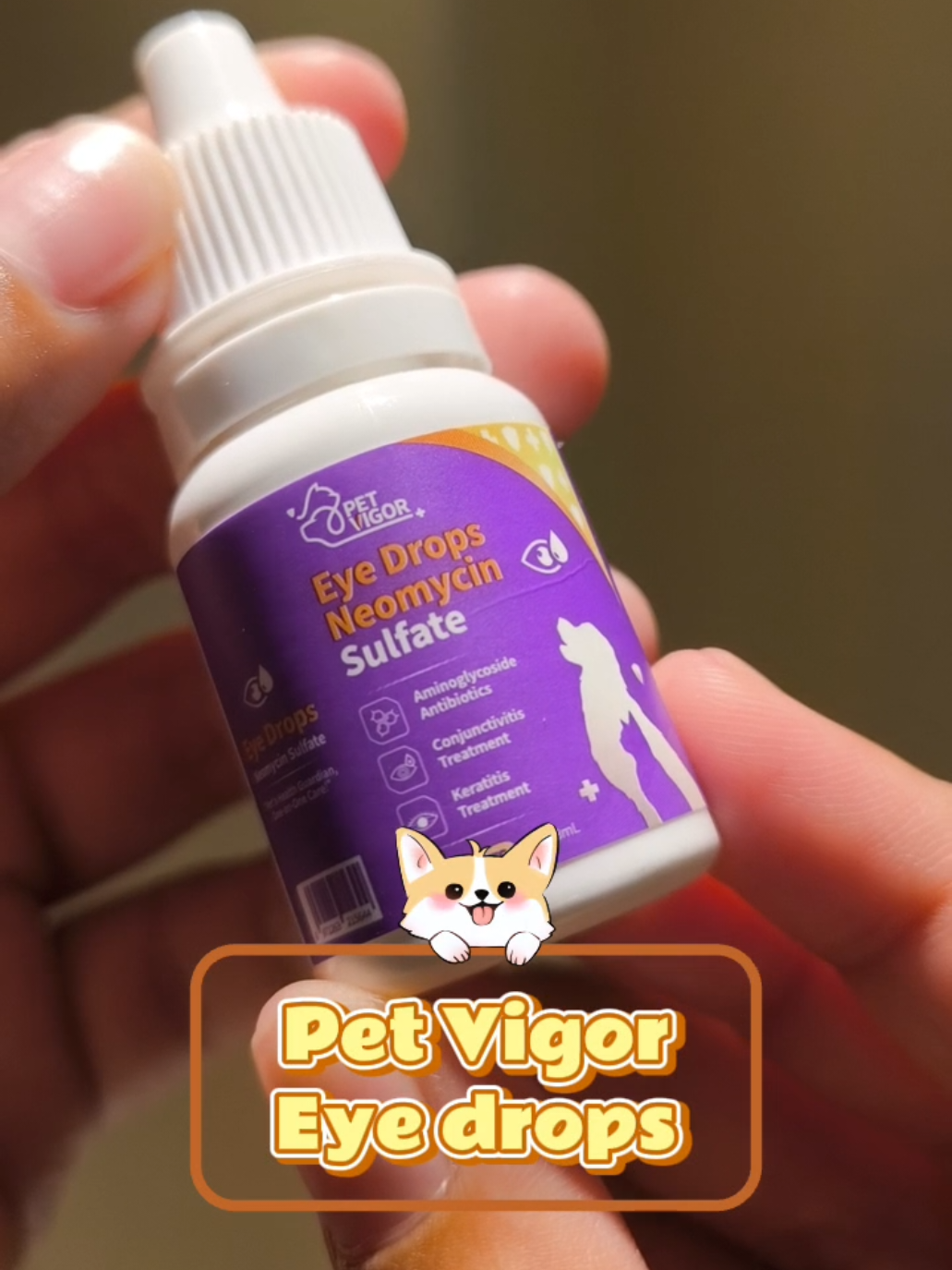 Gentle care for delicate eyes – trusted eye drops for pets of all kinds choose PetVigor eye drops 🥰 #recommendations  #eyedropsforpet #fyp @petvigor_ph 
